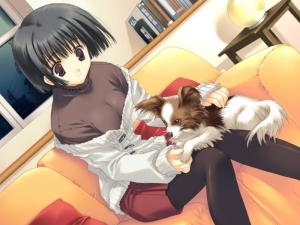 Animaux